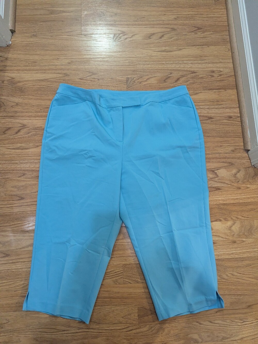 Ruby Rd. Light Blue Capri Pants